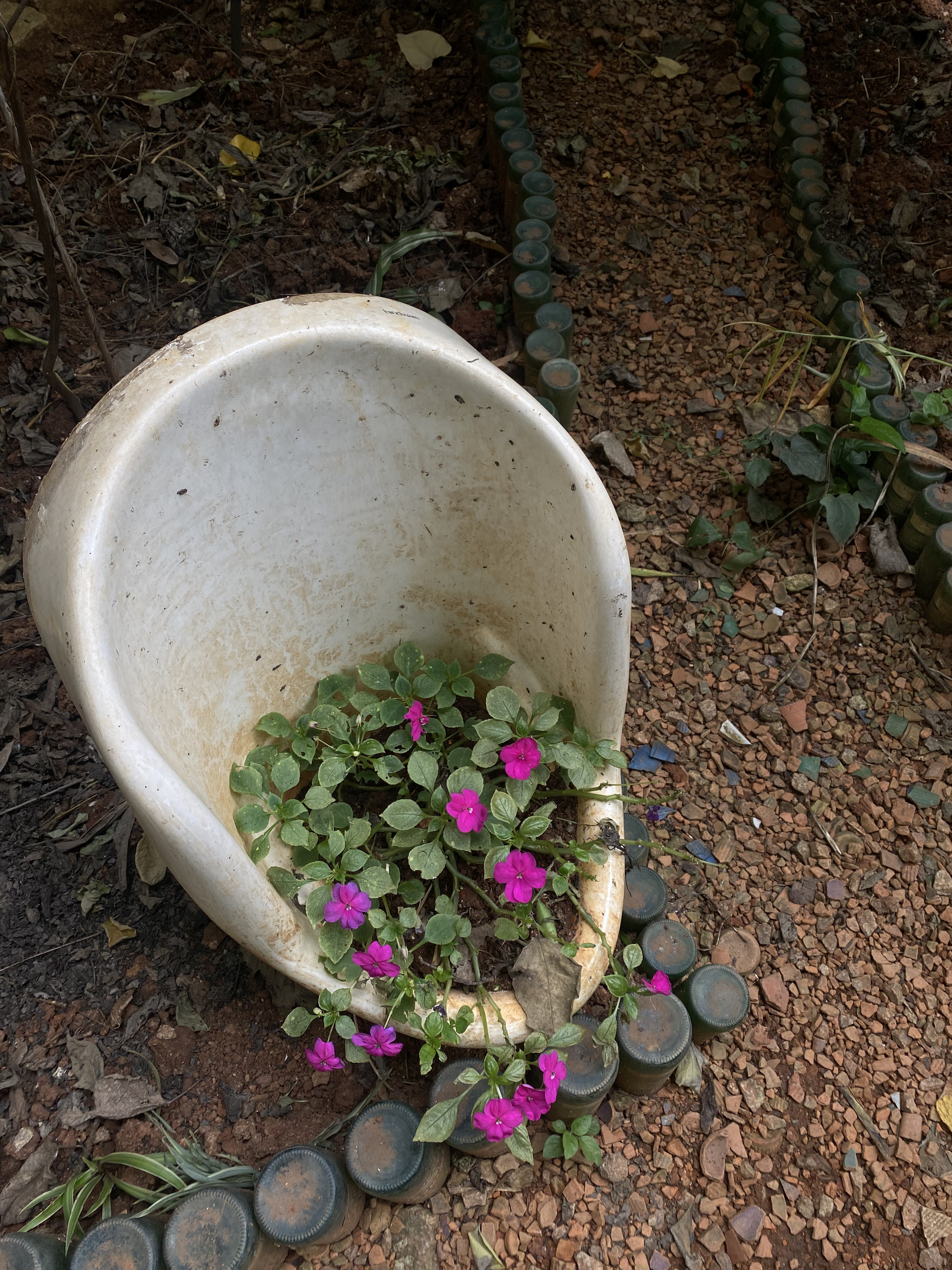 Before - Bucket of Flowers (unedited)